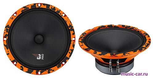 Автоакустика DL Audio Gryphon Pro 200