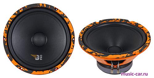 Автоакустика DL Audio Gryphon Pro 250 Midbass
