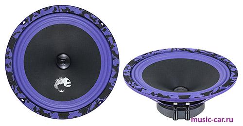 Автоакустика DL Audio Piranha 200 V.2