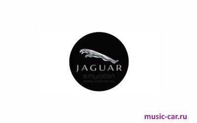 Подсветка в двери с логотипом MyDean CLL-116 Jaguar